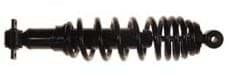 Picture of [OT] Rear Coil Shock Absorber
